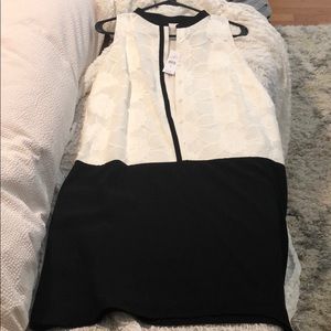 Anne Taylor Loft Dress